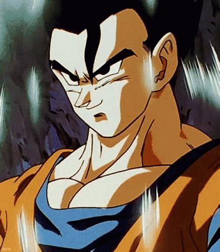 Dragon Ball Gohan GIFs